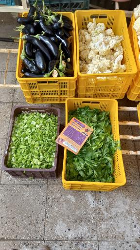 عکس ترشمز (شعبه یک)