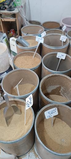 عکس پرنده سرای حمید