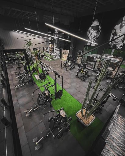 عکس باشگاه بدنسازی رادیس
