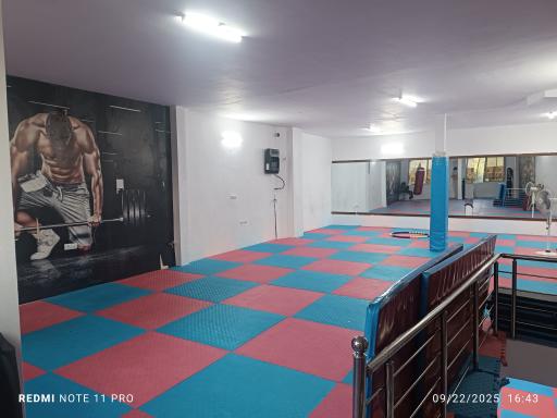 عکس باشگاه تاج وتخت