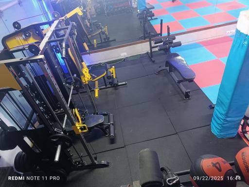 عکس باشگاه تاج وتخت