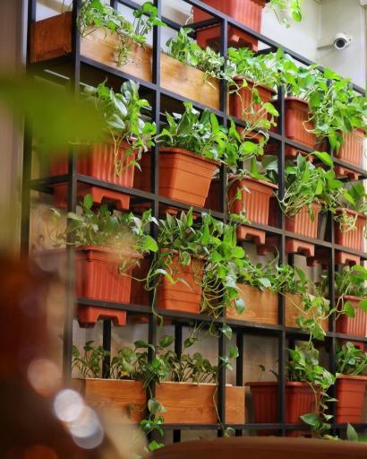 عکس کافه کولاچینو