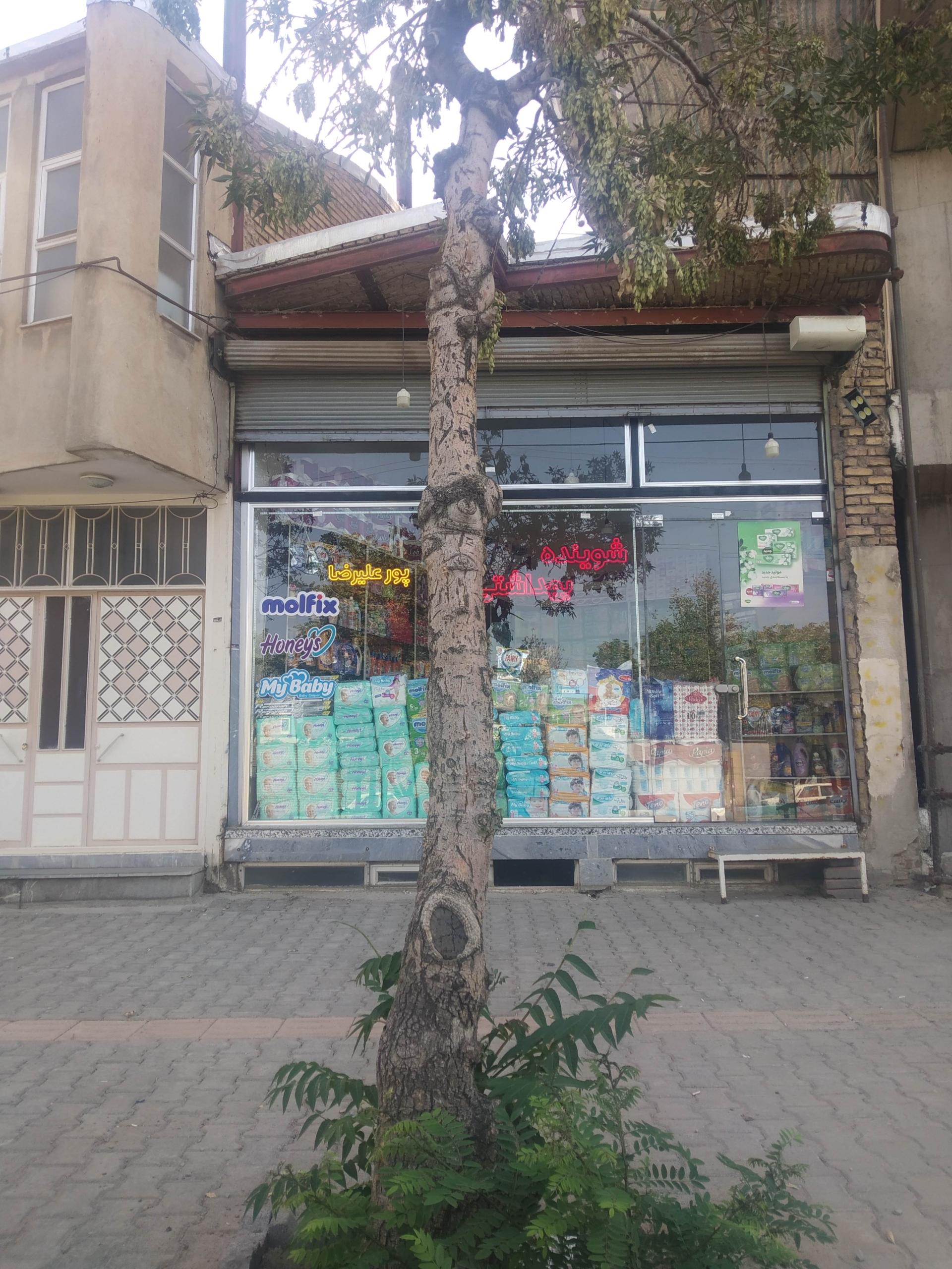 عکس شوینده و بهداشتی پور علیرضا