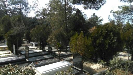 عکس قطعه 20 بهشت زهرا (س)