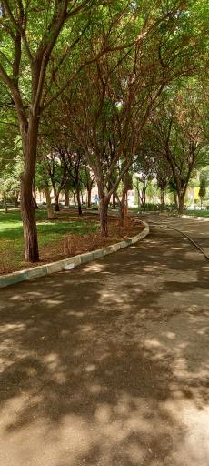 عکس بوستان مروارید 