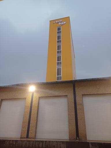 عکس مینا طیور