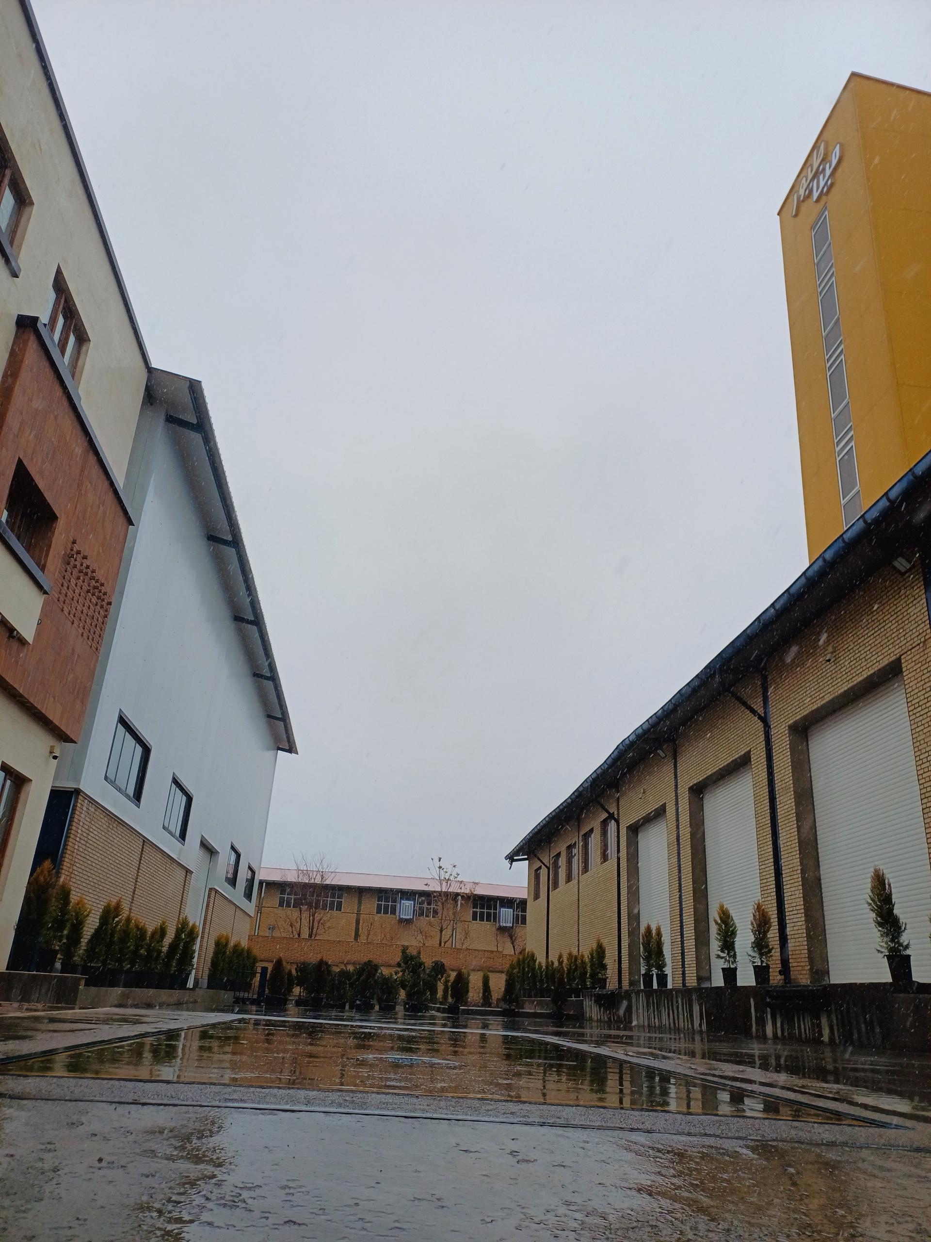 عکس مینا طیور