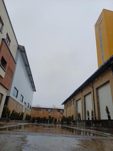 عکس مینا طیور