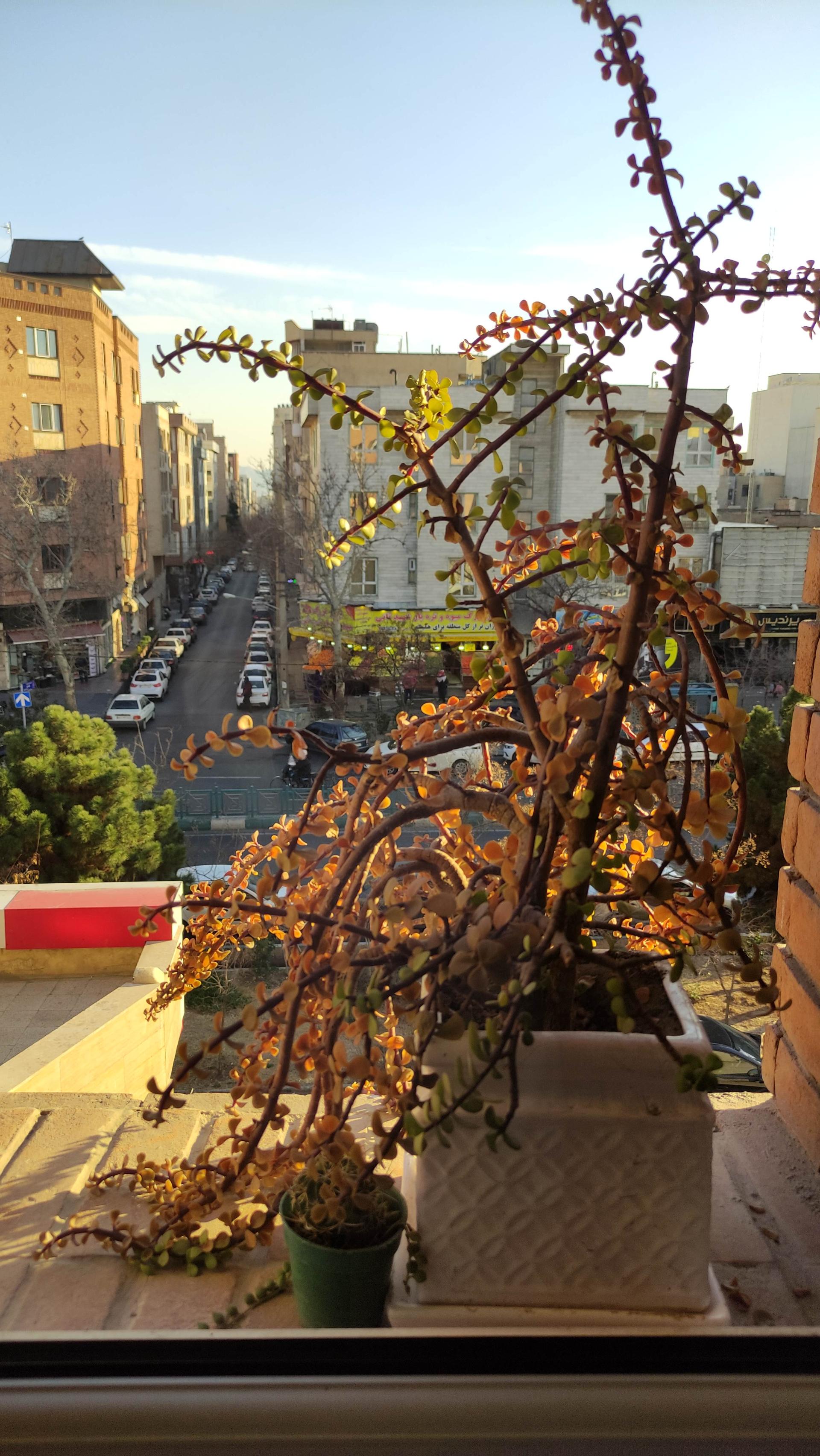 عکس کلینیک فیزیوتراپی تسبیح