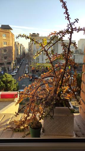 کلینیک فیزیوتراپی تسبیح