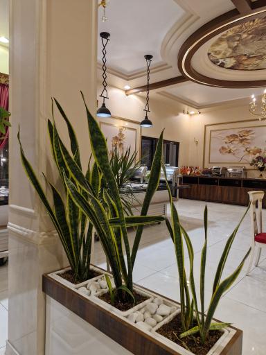 عکس رستوران صحرا 