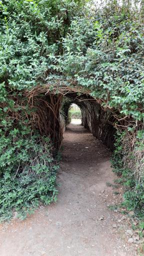 عکس مسجد چوبی نیشابور