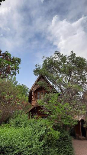 عکس مسجد چوبی نیشابور