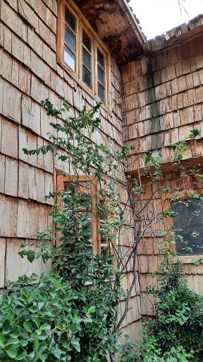 عکس مسجد چوبی نیشابور