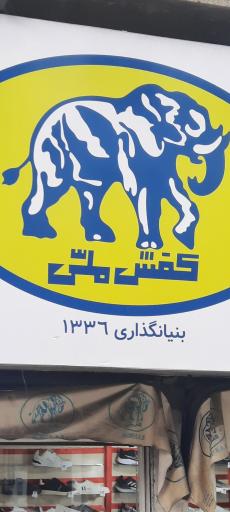 عکس کفش ملی 606 امیری