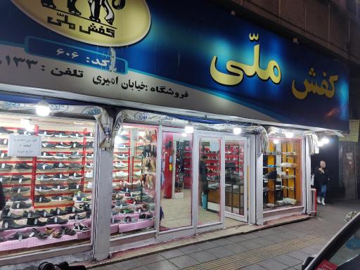 عکس کفش ملی 606 امیری