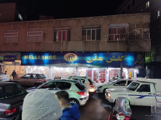 عکس کفش ملی 606 امیری