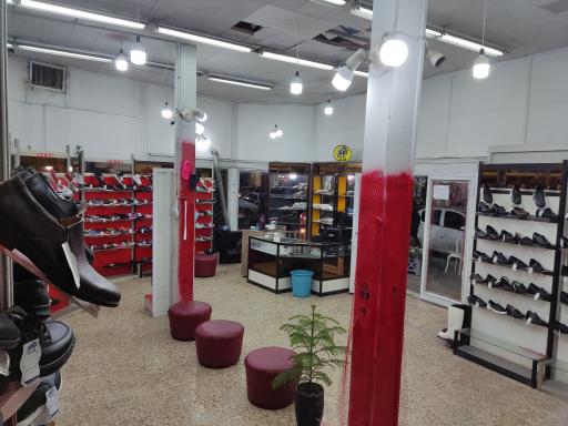 عکس کفش ملی 606 امیری