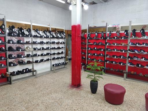 عکس کفش ملی 606 امیری