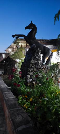 عکس باشگاه سوارکاری کاوه