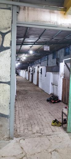 عکس باشگاه سوارکاری کاوه