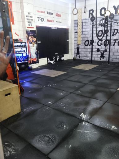 عکس باشگاه  رویال 