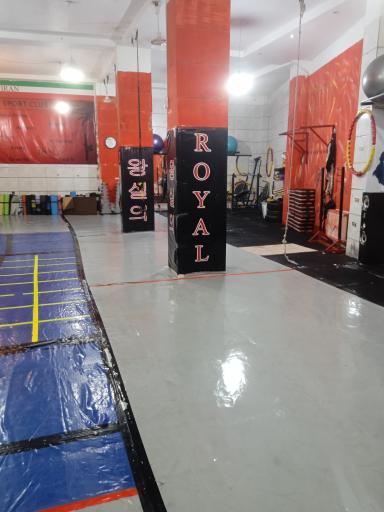 عکس باشگاه  رویال 