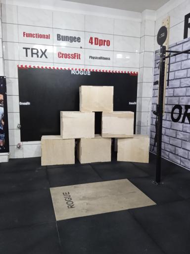 عکس باشگاه  رویال 