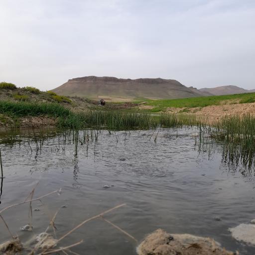 عکس قینرجه