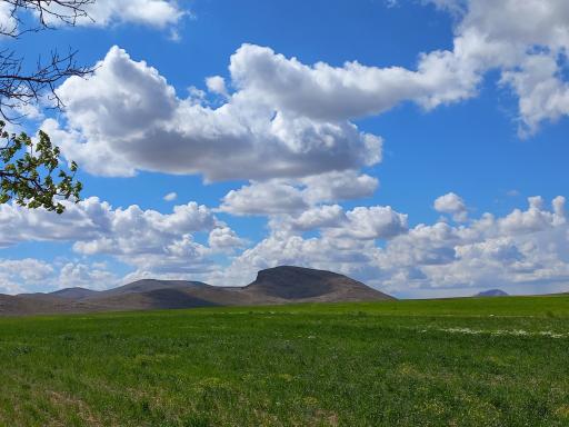 عکس قینرجه