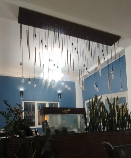 عکس باغ شاهانه