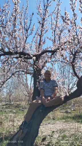 عکس دهکده بهار