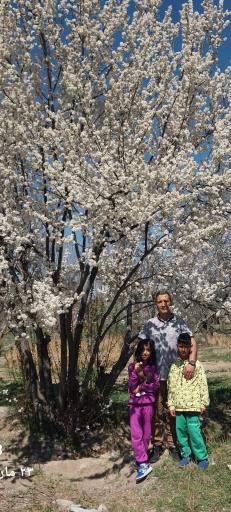 عکس دهکده بهار