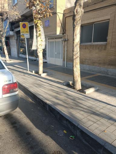 عکس  پروین اعتصامی