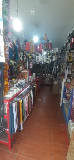 عکس خرازی صدف