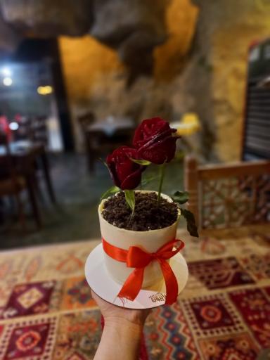 عکس رستوران رویایی آریا شاندیز 