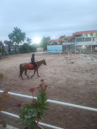 عکس باشگاه سوارکاری کاوه