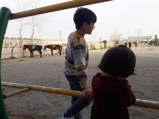 عکس باشگاه سوارکاری کاوه