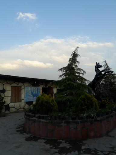 عکس باشگاه سوارکاری کاوه