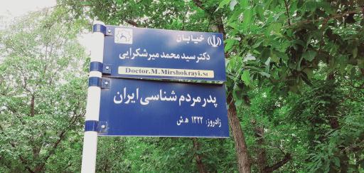 عکس طادپایین