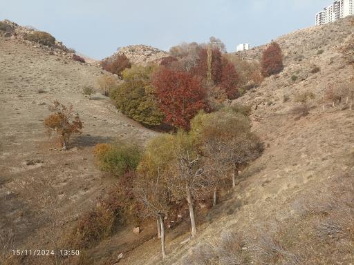 عکس آبشار کمرد