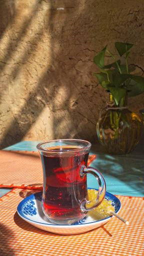 عکس املت سرای خاتون