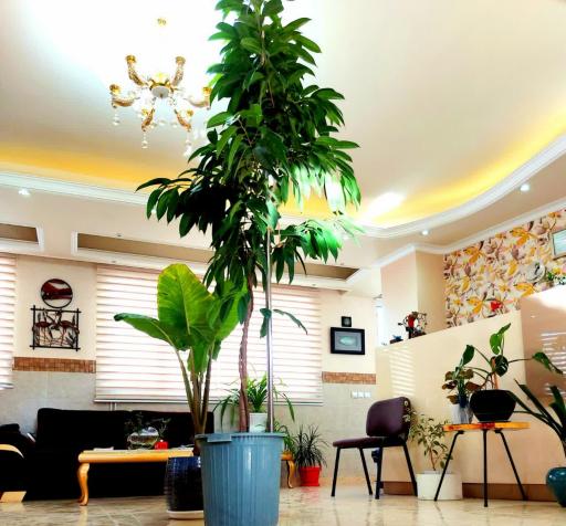 عکس فیزیوتراپی درمان