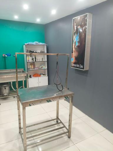 عکس کلینیک دامپزشکی دامون