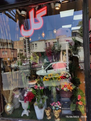 عکس گلفروشی سنبل