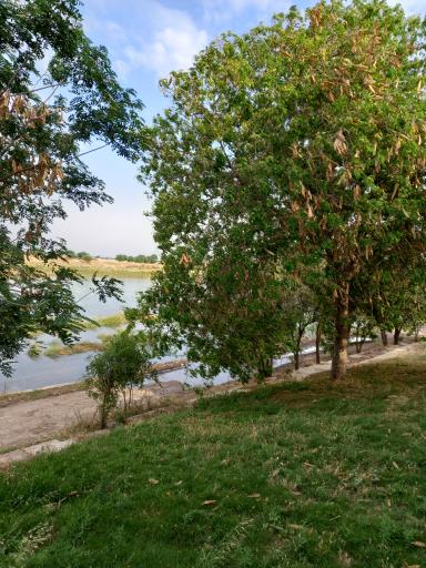 عکس پارک ساحلی