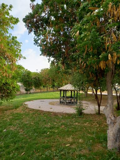 عکس پارک ساحلی