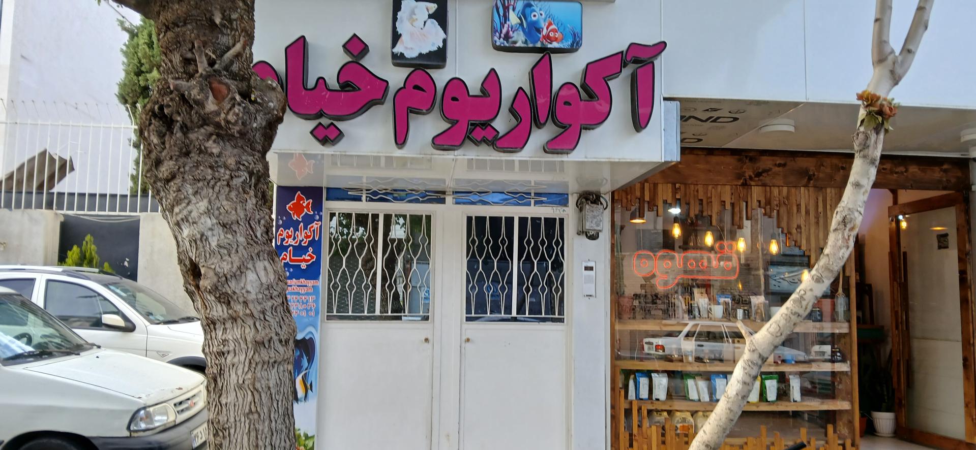 عکس آکواریوم خیام