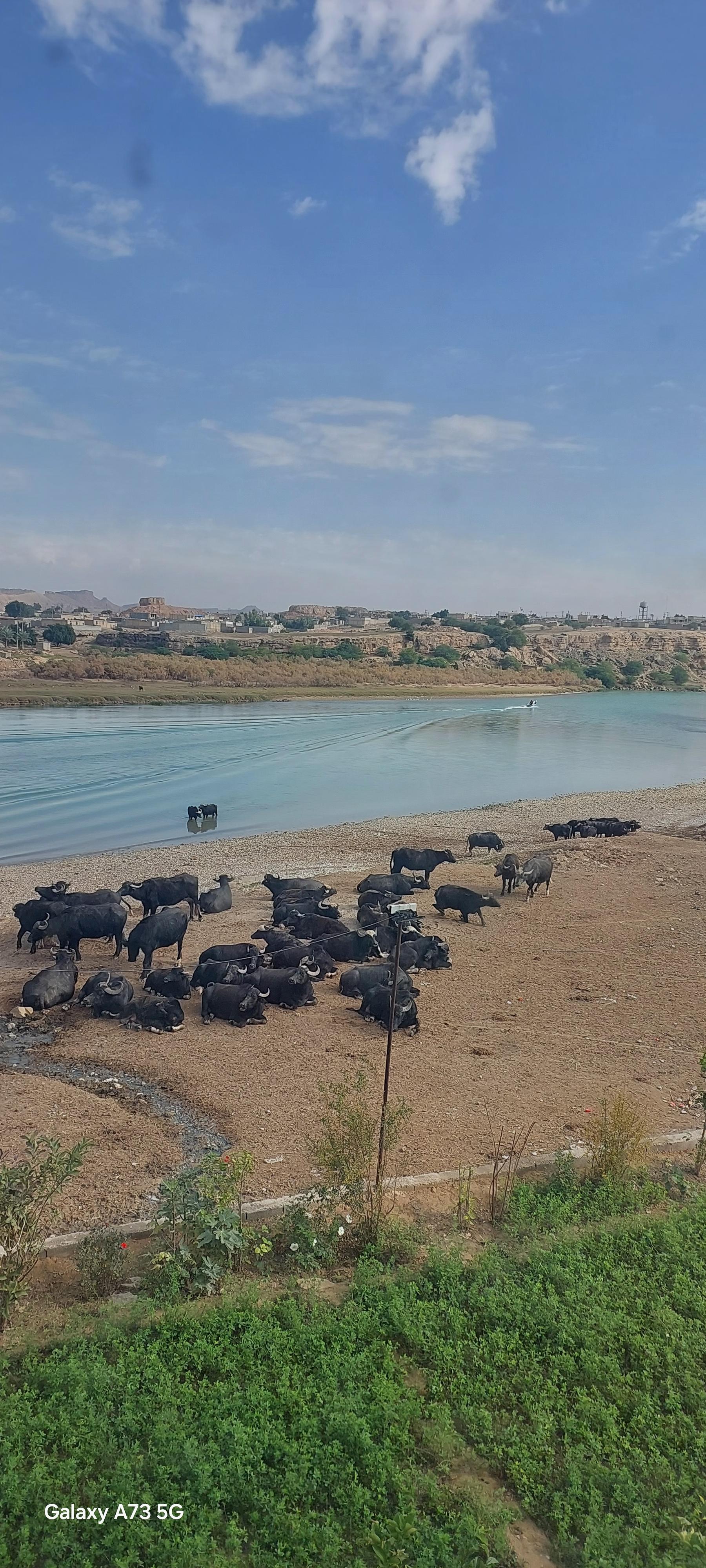 عکس پارک ساحلی