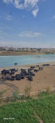 عکس پارک ساحلی